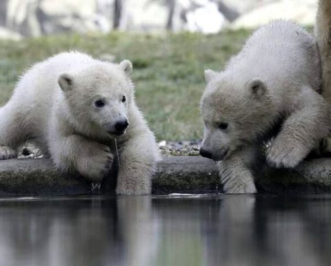 Минфин опубликовал статистику о проверках в сфере аудита