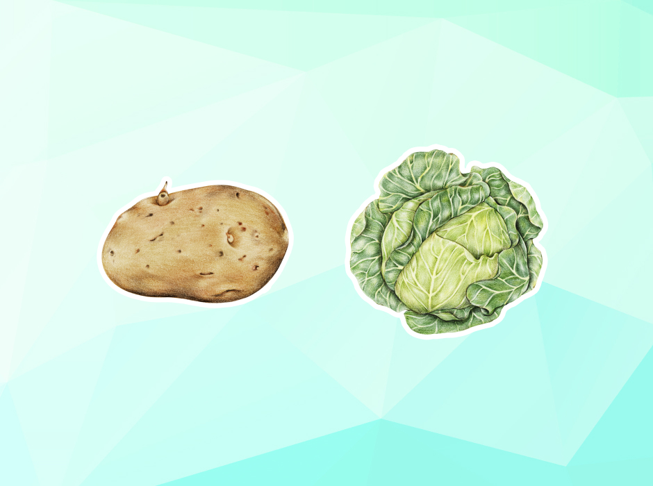 Цена растет, а количество падает: что будет с картофелем и капустой в России.