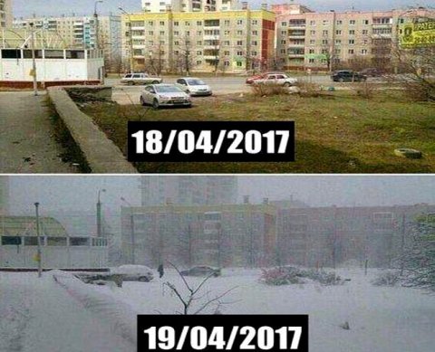 Срок регистрации изменения ОКВЭД в электронном виде сократился в два раза