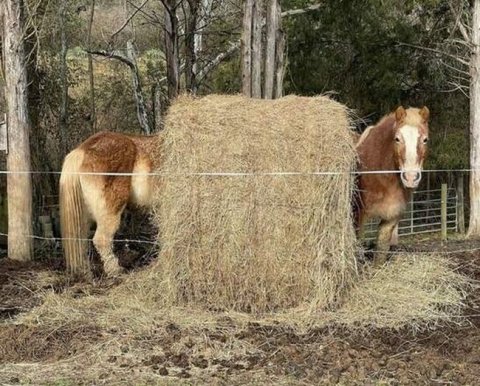 Акт выездной проверки налоговая прислала через 4 месяца - суды проблем не увидели