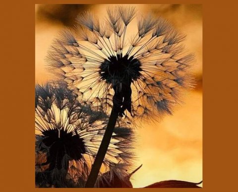 Любители "левых" посредников остаются почти "при своих" - ВС закрепил такой подход