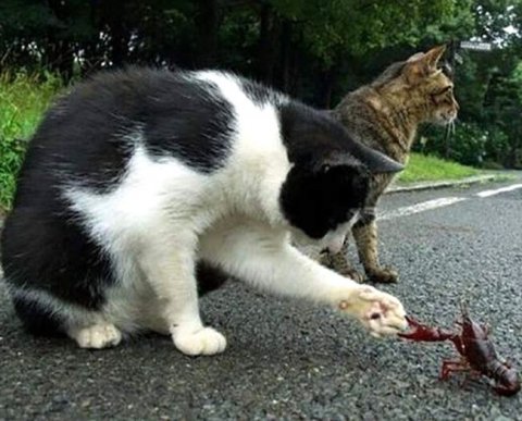 Фальшивые ИП-агенты обошлись компании в 270 млн рублей - ВС одобрил доначисления