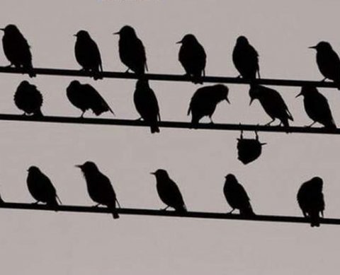 Минфин рассказал о трех реестрах в сфере аудита - что нового и чем регламентировано