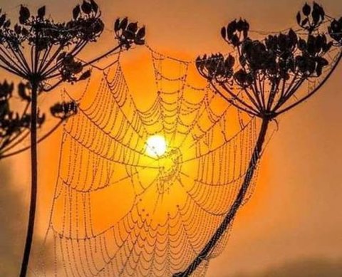 Подписан закон о сроке сдачи исправленной бухгалтерской отчетности