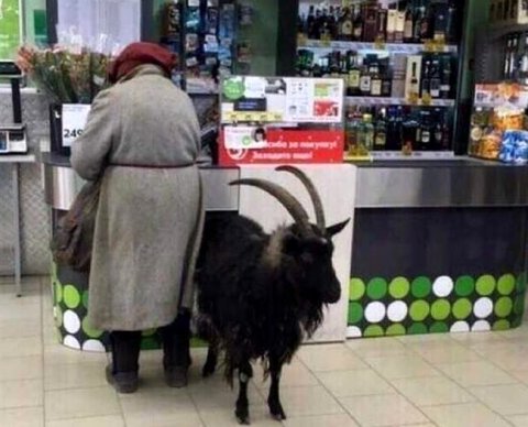 Как будет проводиться контроль применения ККТ - проект нового положения