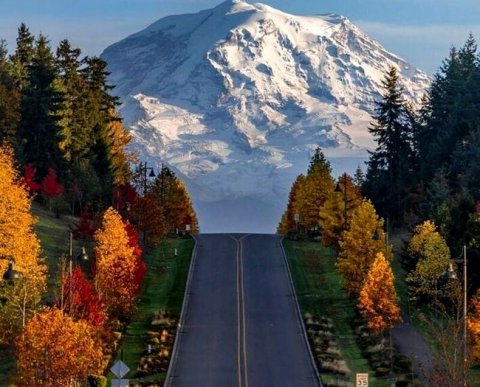 ФНС сделала сервис, позволяющий по ИНН узнать, есть ли право отложить уплату УСН
