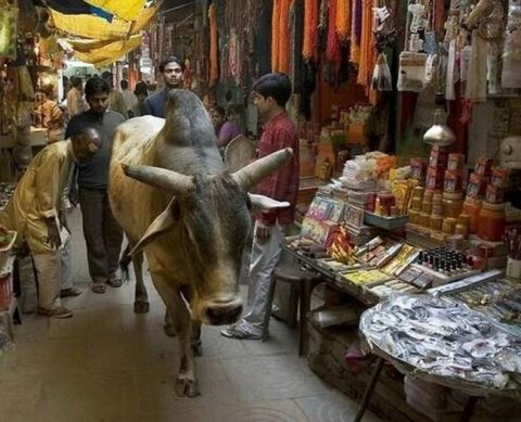 Результат проверки ККТ теперь можно обжаловать "выше" только через госуслуги