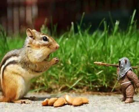 Налоговые органы Москвы приостанавливают прием налогоплательщиков