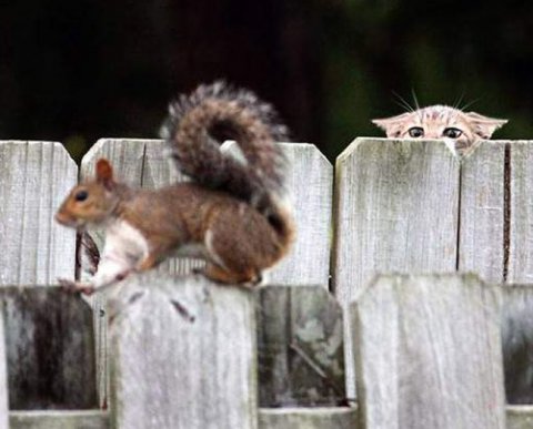 Минэк фактически ликвидирует мораторий на проверки в сфере ККТ в этом году