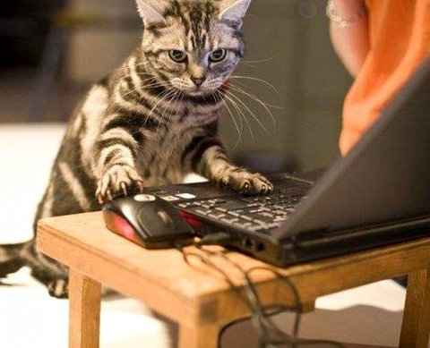 ФНС рассказала о преимуществах регистрационных действий в онлайн