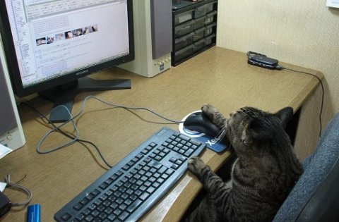 Правительство на три года освободит IT-компании от налога на прибыль