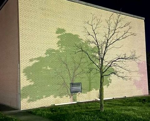 До или после выплаты зарплаты: ФНС рассказала, когда оптимальнее сдавать 6-НДФЛ