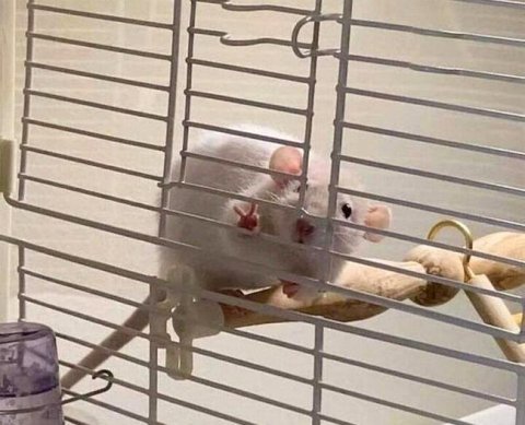 Уголовные налоговые дела будут открываться лишь в крайних случаях - законопроект