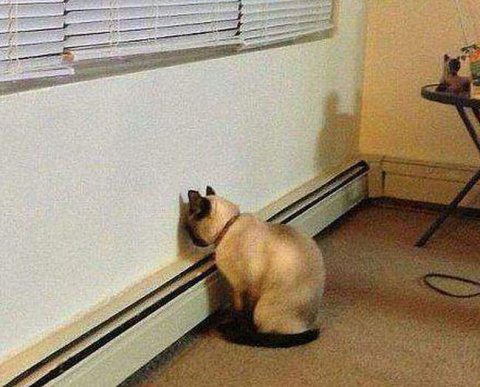 Строптивый страхователь возместит фонду больничные - наказан за неподачу документов