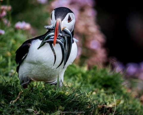 Заявление на последние коронавирусные субсидии можно подать по ТКС: готов формат