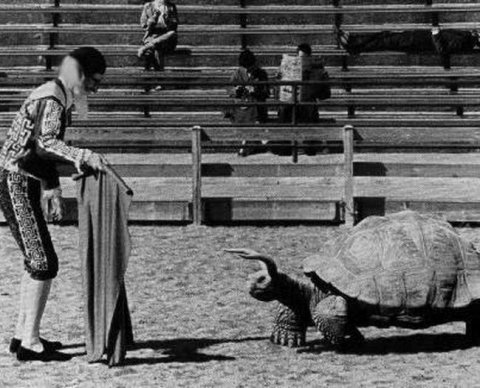 Гражданско-правовой договор с самозанятым: страхвзносы платить не надо