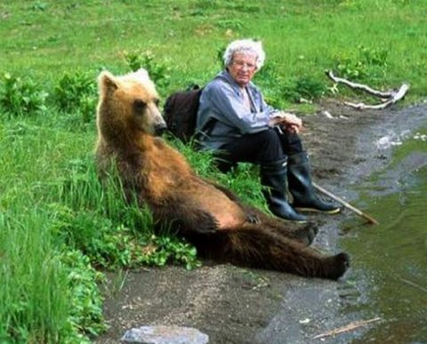 Фирма пожизненно платит бывшему работнику - пенсионеру: как быть с НДФЛ и взносами