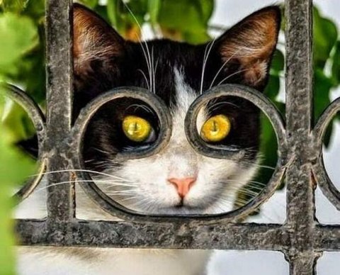 УФНС сможет назначать новый виток допмероприятий - проект поправок в часть 1 НК