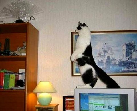 Осмотры у лиц, взаимозависимых с проверяемым, незаконны, решили суды