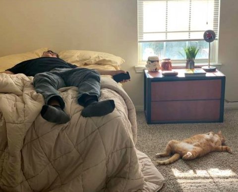 ФСС обновил таблицу с утеряными бланками больничных - 105 новых бланков