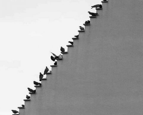 Нельзя подать заявление на возврат переплаты "на вырост" и рассчитывать на акцепт