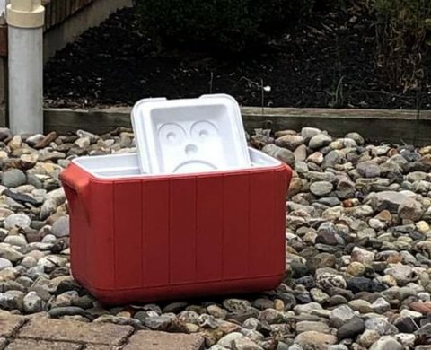 В РФ вводятся новые документы МСА, включая пересмотренный по оценке риска искажений