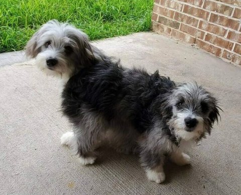 ФНС намерена утвердить форматы электронных договоров