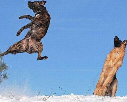 Стоимость работ, выполненных за счет субсидий, учитывается в пропорции для НДС