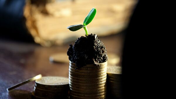 Эксперт по инвестициям назвал способы выгодного вложения 10 тысяч рублей