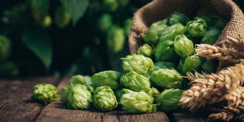 Constellation Brands планирует построить пивоваренный завод в Мексике