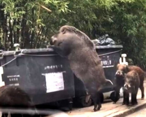 24 февраля аудиторам расскажут о намеках на банкротство, содержащихся в отчетности