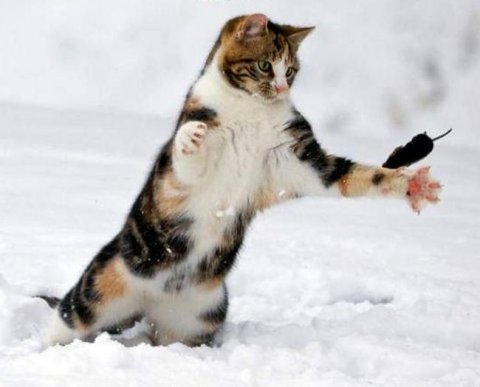 Наиболее важные новости недели 4-8 октября 2021 года