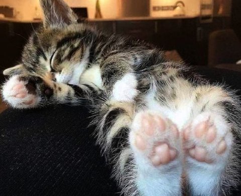 Как получателям субсидии "на нерабочие дни" отразить освобождение от НДФЛ