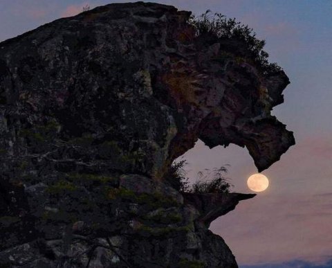 Сроки уплаты налогов, сдачи отчетности сможет изменить правительство - законопроект