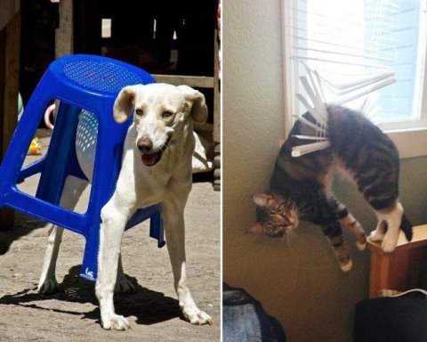 Сервис для госрегистрации юрлиц теперь позволяет внести изменения в ЕГРЮЛ