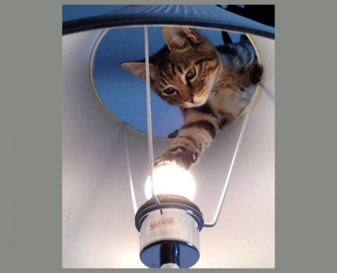 Проверки по "несчастному" соцстрахованию и контрольно-надзорные: в этом году их облегчат