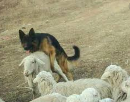 Правительство и бизнес договорились об изменении налога на прибыль