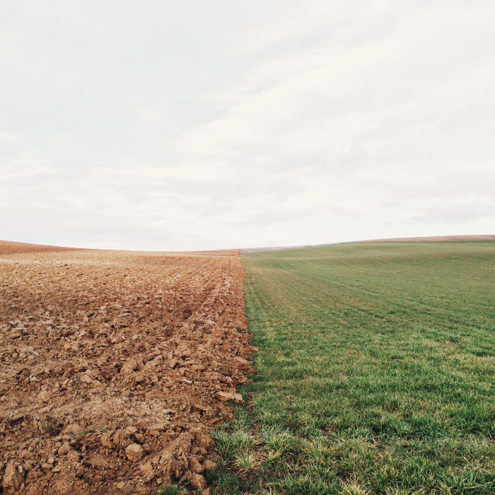 Участки Газпрому