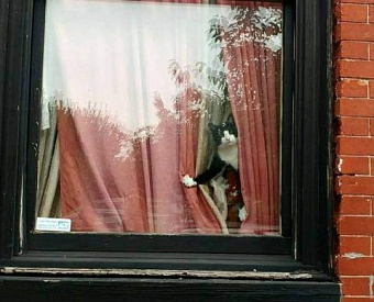 Обновлен сервис регистрации ИП в личном кабинете налогоплательщика-ИП