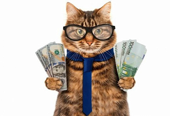 Минфин согласился передать брокерам расчет НДФЛ по иностранным дивидендам