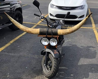 Выездные налоговые проверки полностью на этот год не отменят