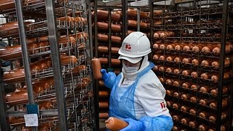 Группа "Черкизово" вложит 200 млрд рублей в создание логопарка "Бекасово"