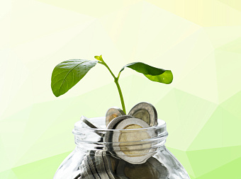 Международные резервы РФ установили исторический максимум 