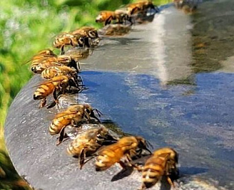 Указание ЦБ о ведении реестра аудиторов на финрынке наконец-то прошло Минюст