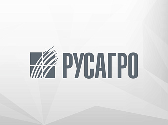 Русагро в 2021 году достигла рекорда по скорректированному показателю EBITDA