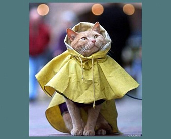 Продлен срок уплаты мартовского авансового платежа по налогу на прибыль