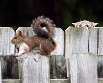 Минэк фактически ликвидирует мораторий на проверки в сфере ККТ в этом году