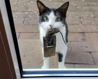 Минфин разъяснил, какие именно прощенные долги по иностранным кредитам не идут в доход