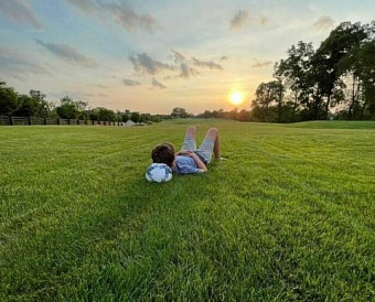 За актуальность данных о стоимости участка, принятой к бухучету, отвечает главбух