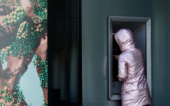 Deloitte оценил готовность бизнеса и банков внедрять «зеленые» принципы